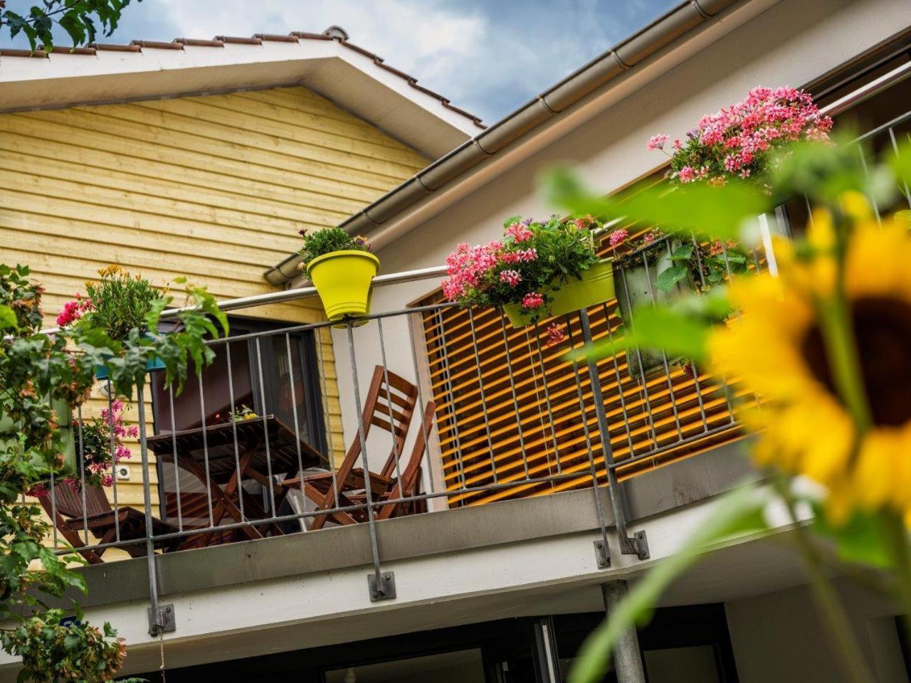 Bed And Breakfast Oase Im Seetal Gelfingen Exterior photo